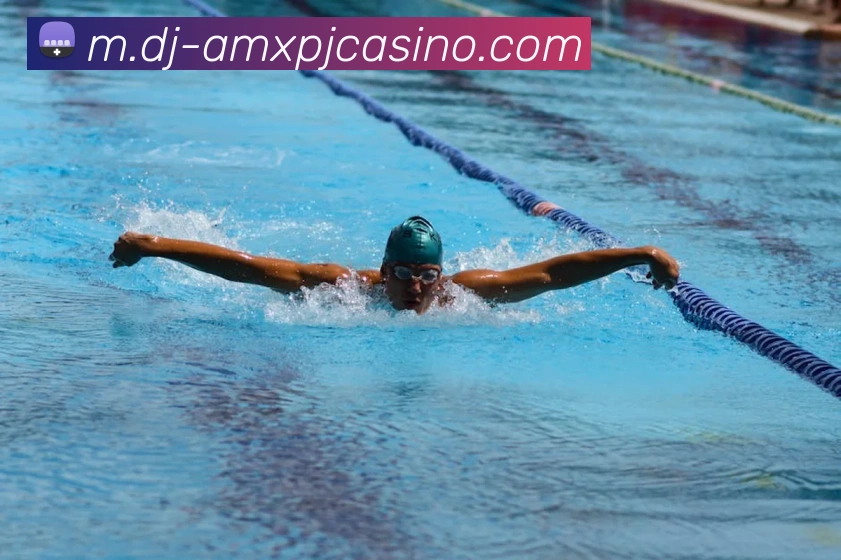 澳门新葡京娱乐平台生态图